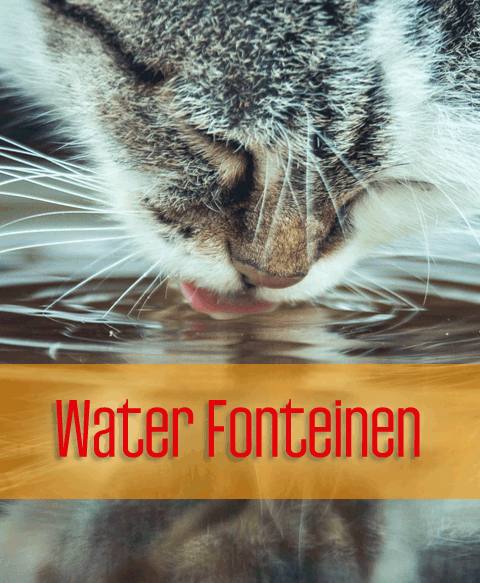waterfontein kat